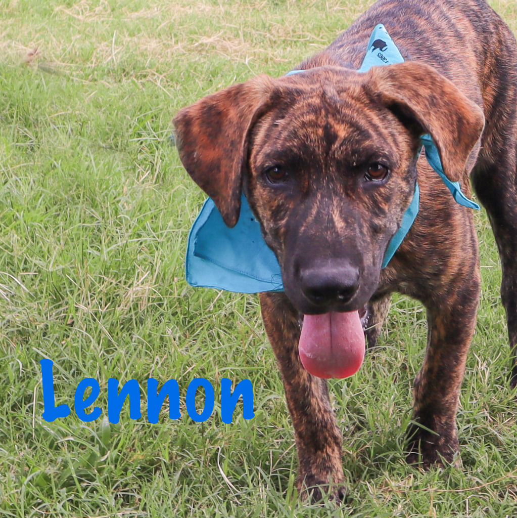 LENNON