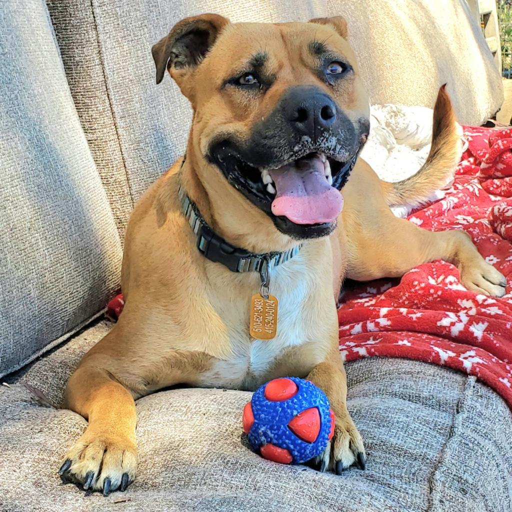 Chewy aka Jason