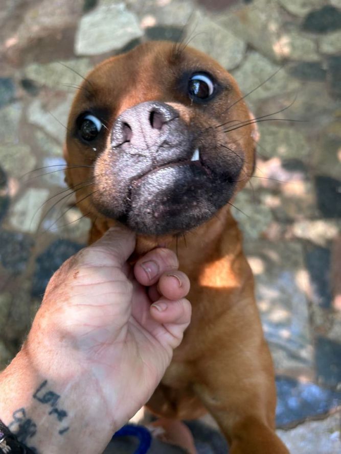 Frida