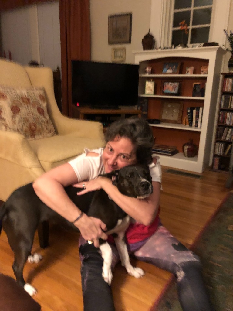 Rosie, an adoptable Mixed Breed in Little Rock, AR, 72207 | Photo Image 3