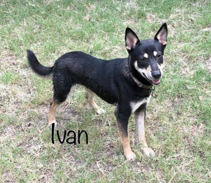 Ivan 2