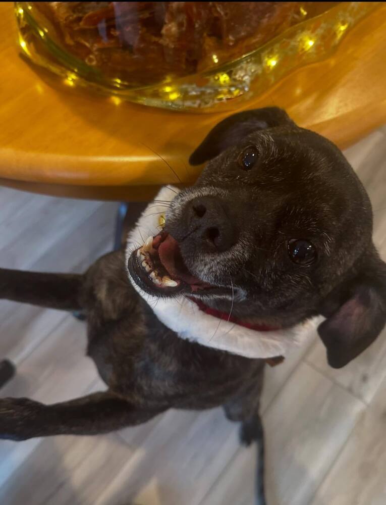 Frankie
