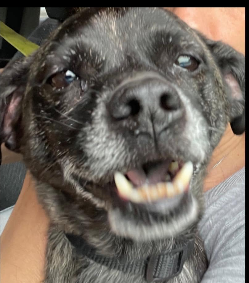 Frankie