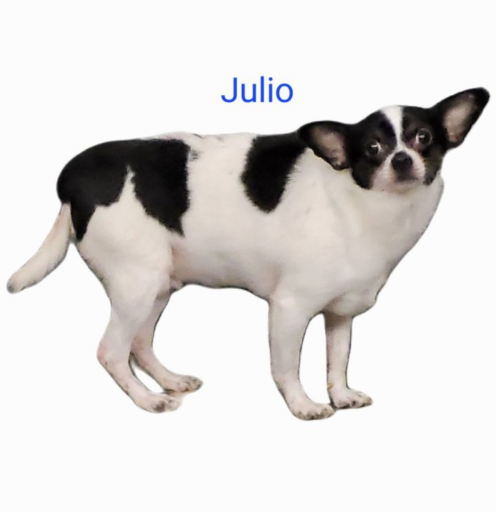 Julio 1