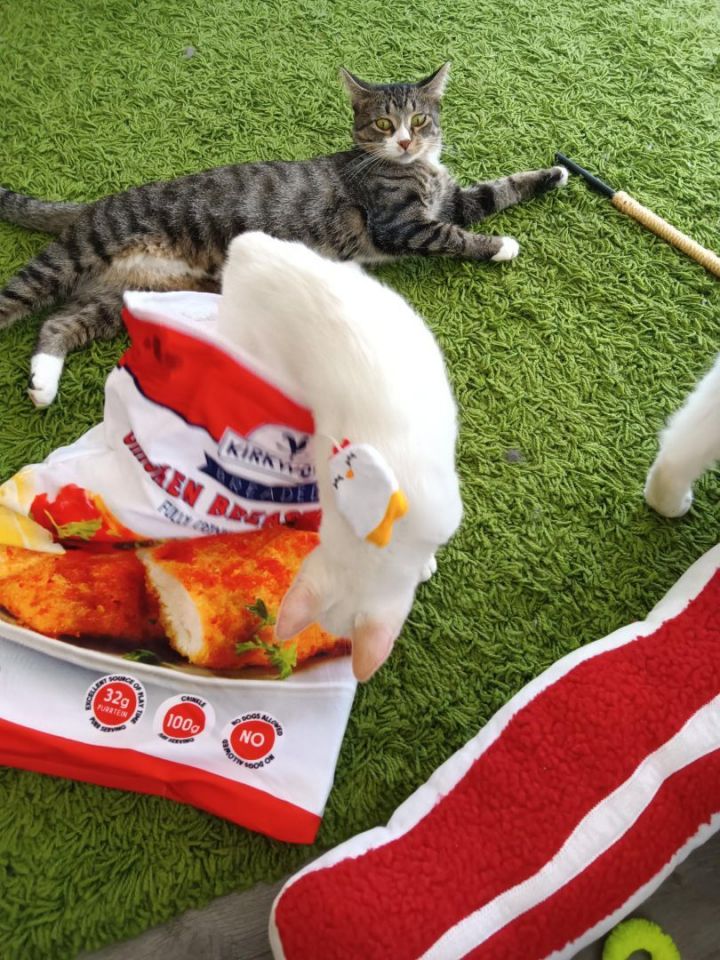 Tina Purrner 4