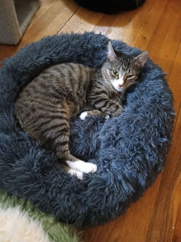 Tina Purrner 6