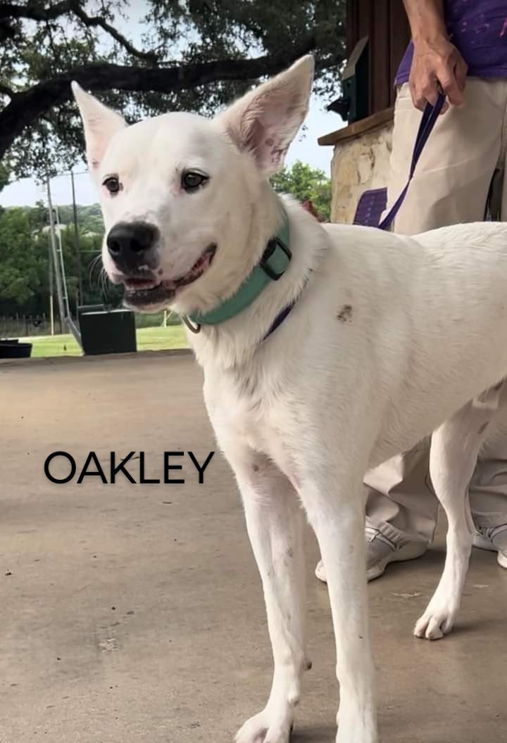 Oakley detail page