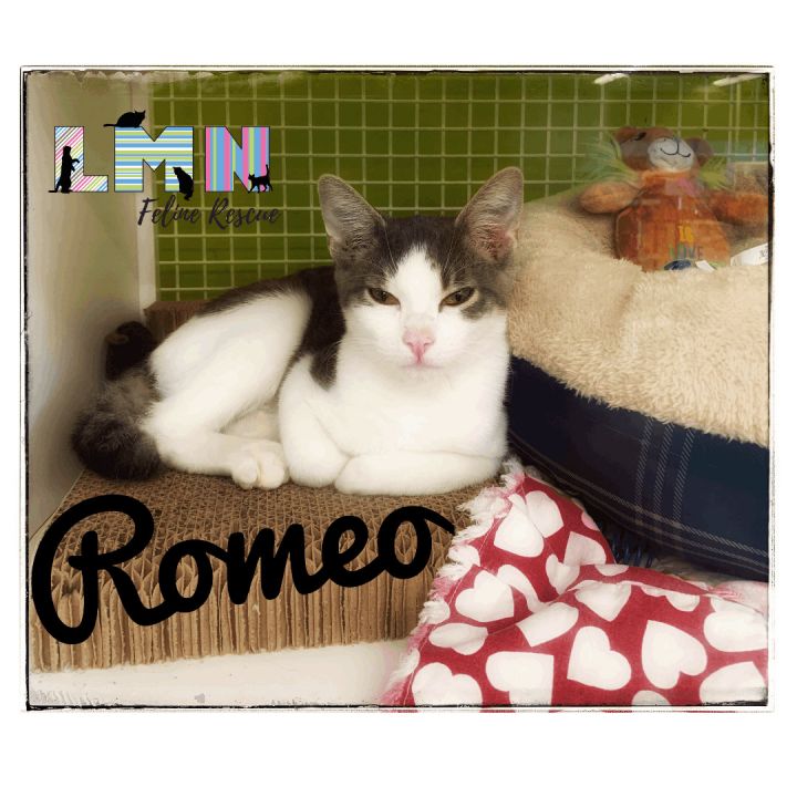 Romeo 2