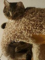 Wilma  3