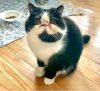 Kate (bonded with Trina)