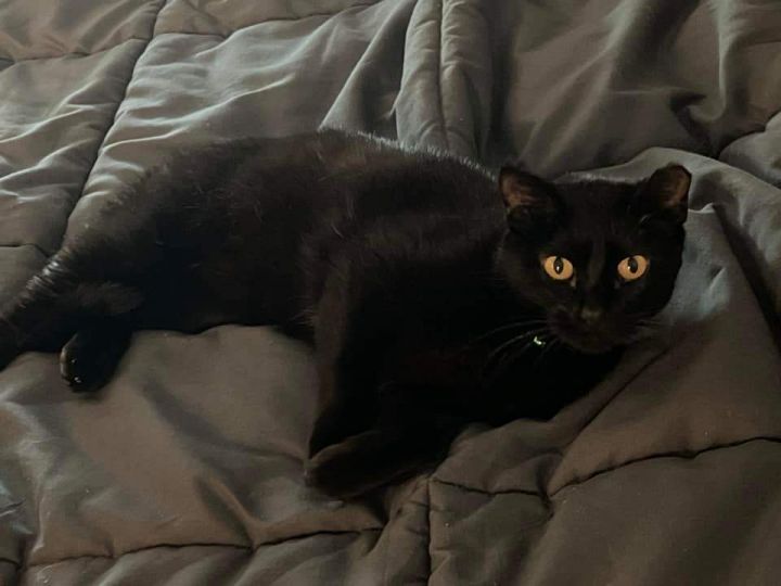 Fiona 3