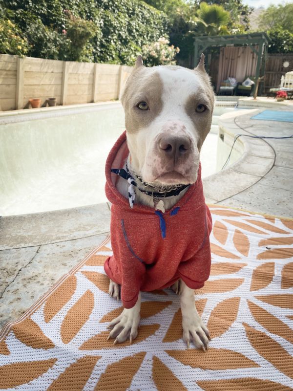 Milo