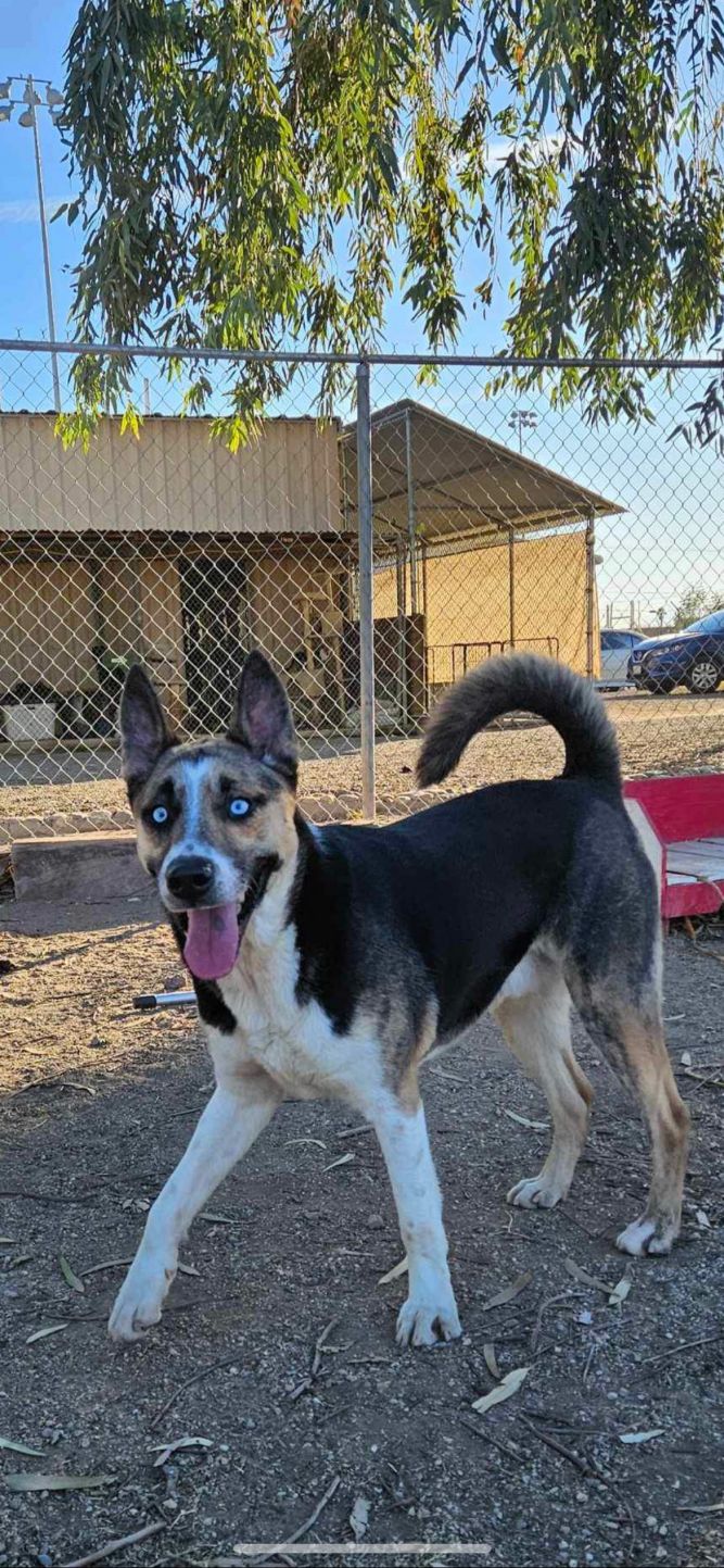 Erik
