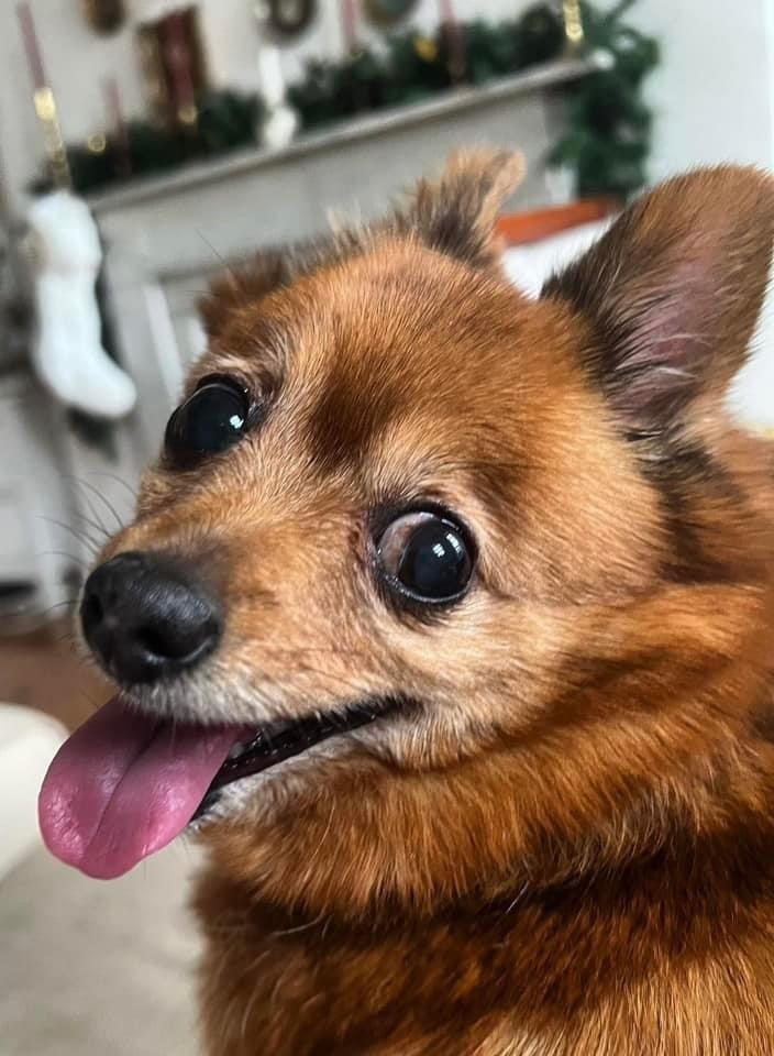 CINNAMON! 5