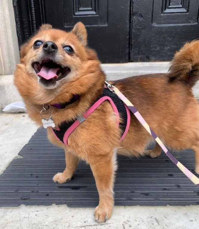 CINNAMON!