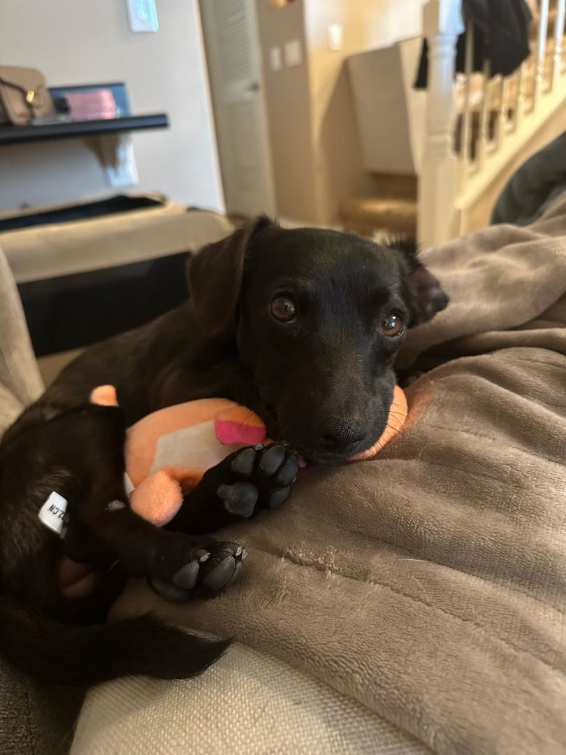 Frankie - So Ca