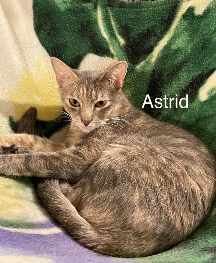 Astrid and Si  2