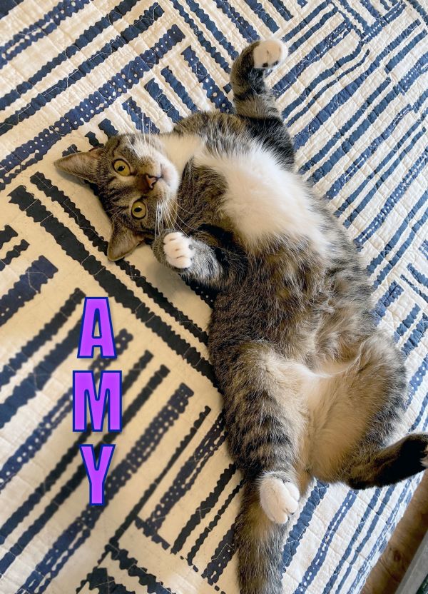 Amy