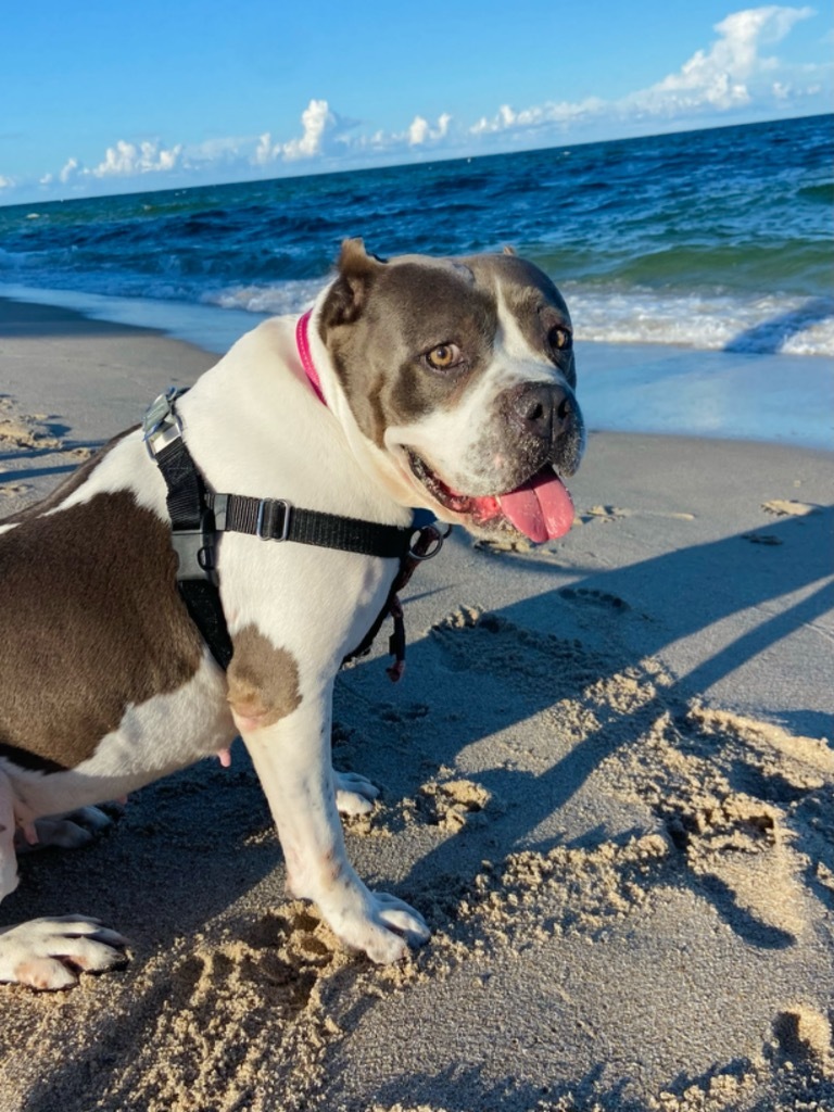 Fiona