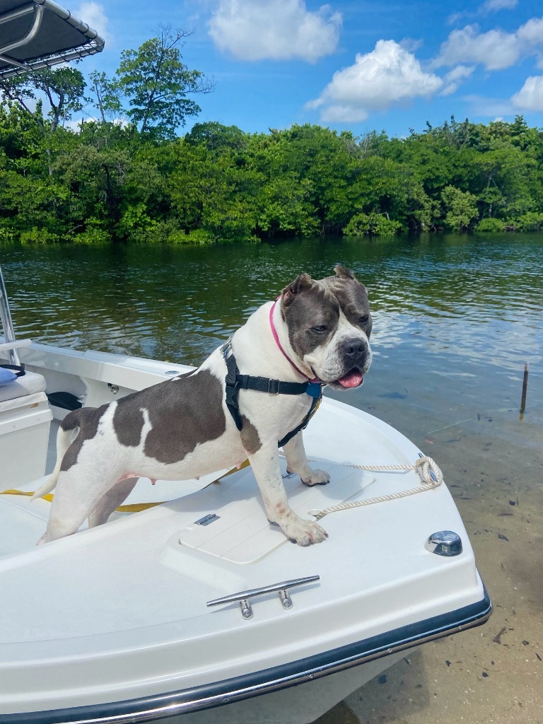 Fiona