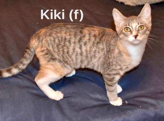 Kiki 2