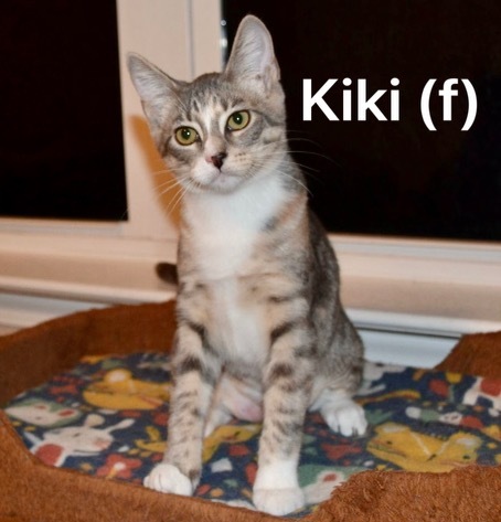 Kiki