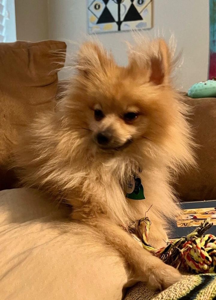 Coco 5