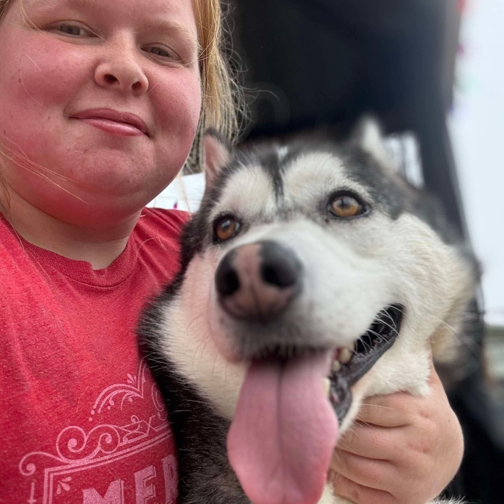 Nacho, an adoptable Husky in Eufaula, OK, 74432 | Photo Image 1