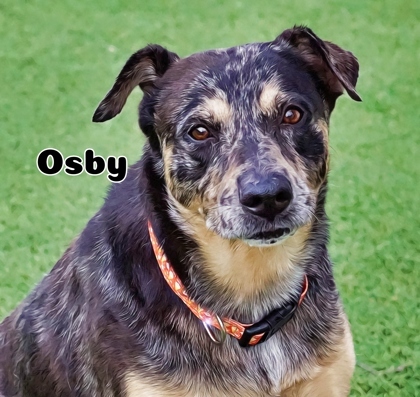 Osby 1