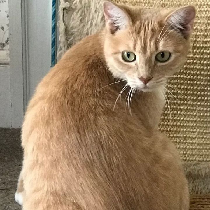Mindy 3