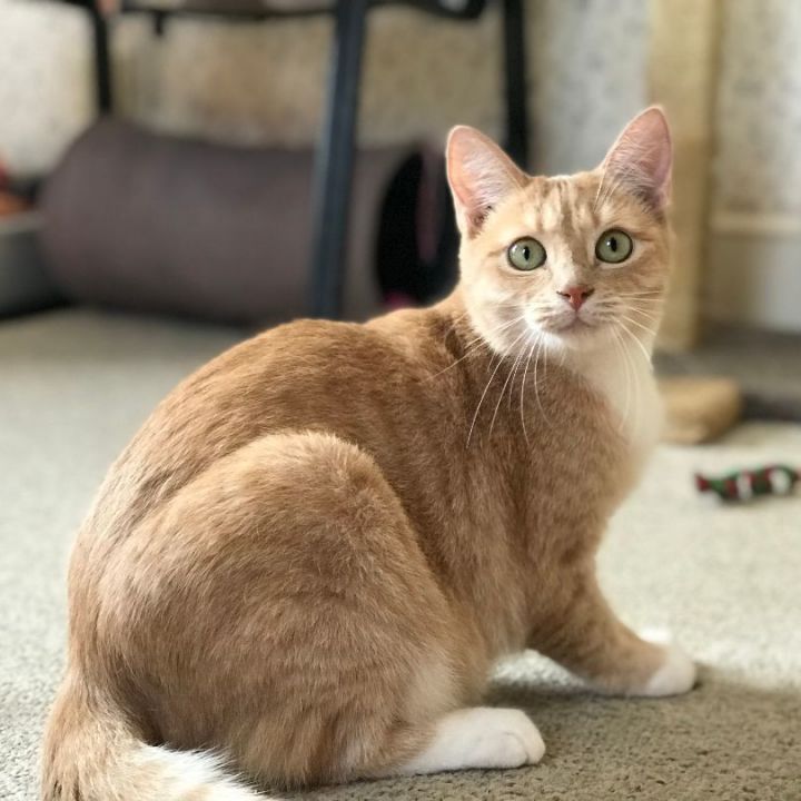 Mindy 5