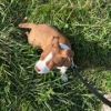 Coda - MISSING photo 2