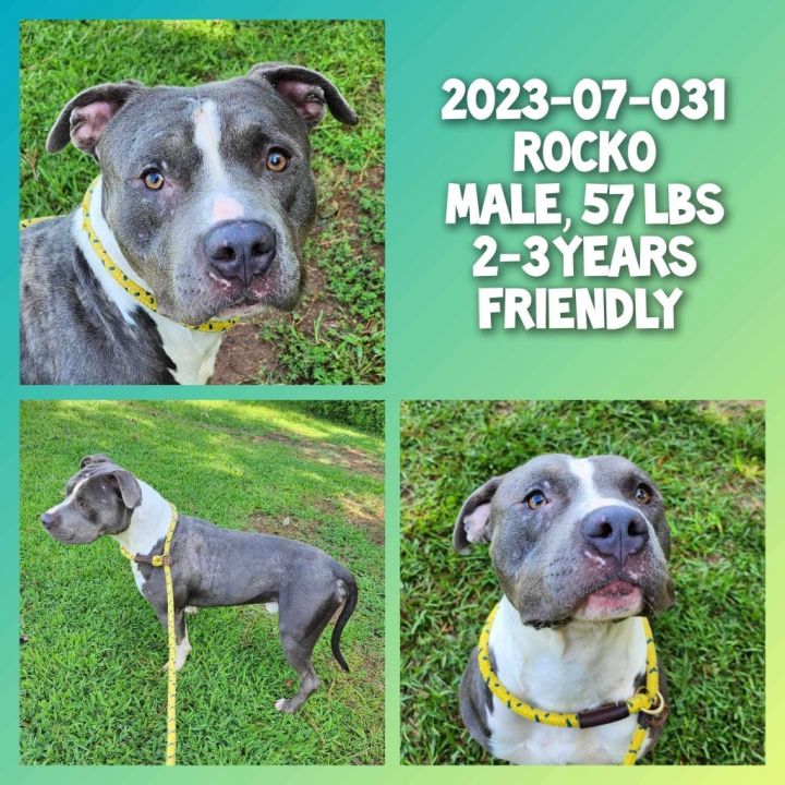 2023-07-031 *Rocko* 1