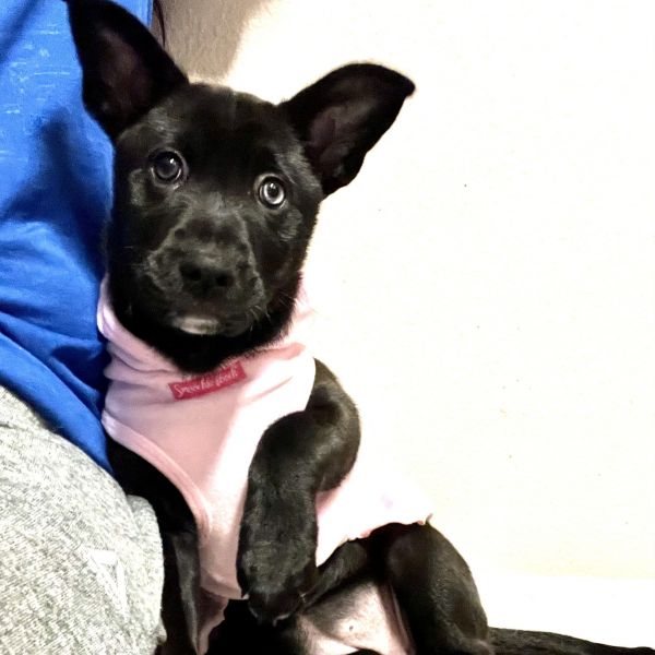 Mia