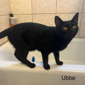 Photo of Ubbe