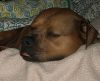 Willis - courtesy post