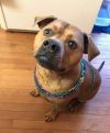 Willis - courtesy post