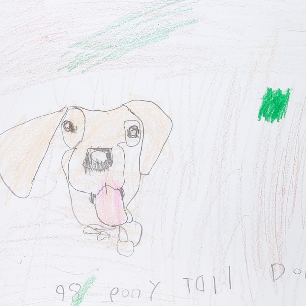 Ponytail, an adoptable Mixed Breed, Pit Bull Terrier in Kanab, UT, 84741 | Photo Image 2