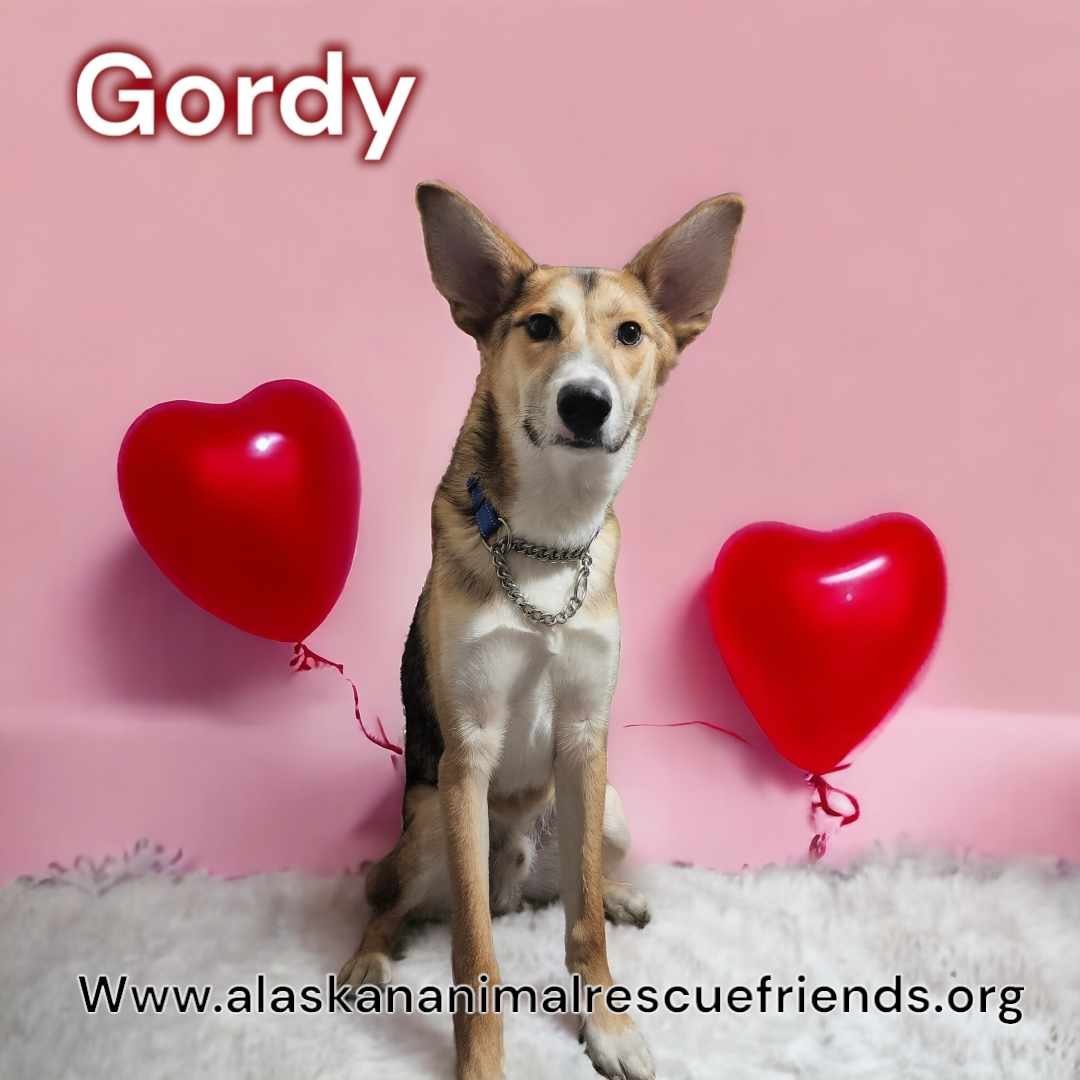 Gordy detail page