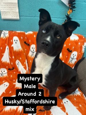 Mystery