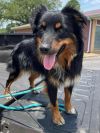 Cash the mini!