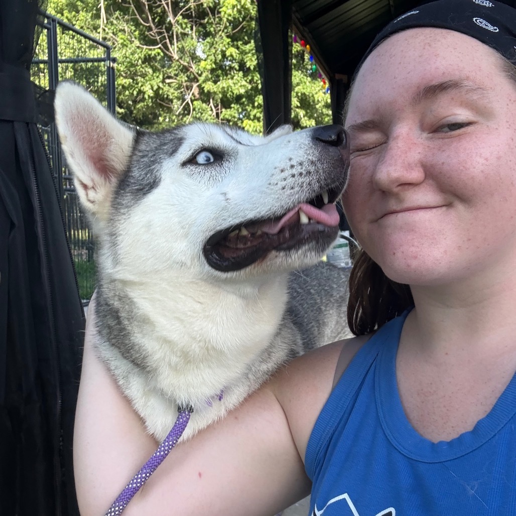 Bruno, an adoptable Husky in Eufaula, OK, 74432 | Photo Image 3