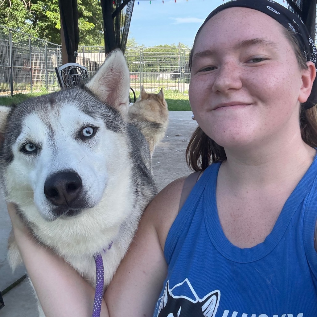 Bruno, an adoptable Husky in Eufaula, OK, 74432 | Photo Image 4