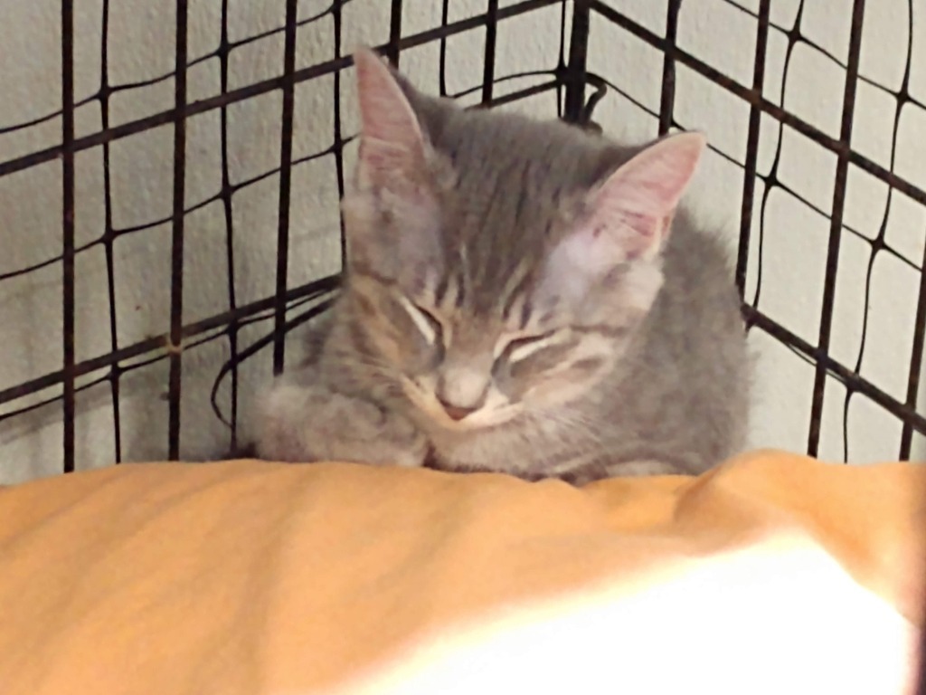 Ben