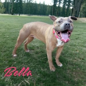 Bella