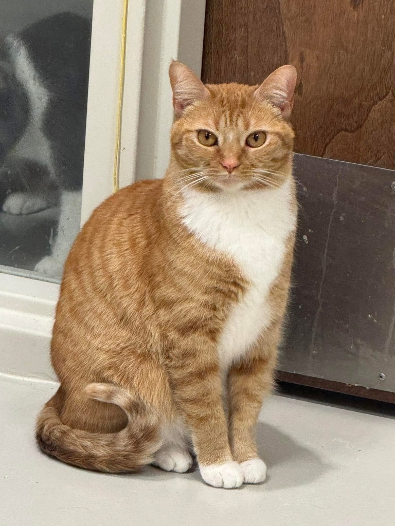Tinker