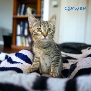 Carwen