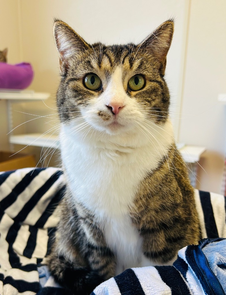 Gwen