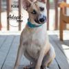 Kira photo 6