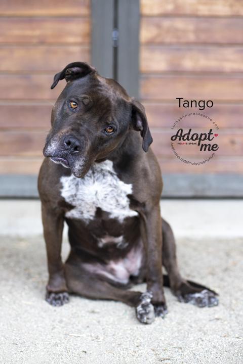 Tango